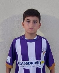 Rafael Dinis Domingos