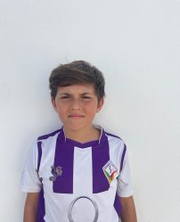 Pedro Henrique Daros Domingos