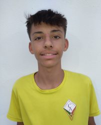 Luis Miguel Guedes Siscu