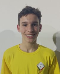 Luis Fernando Sousa Sa Pereira